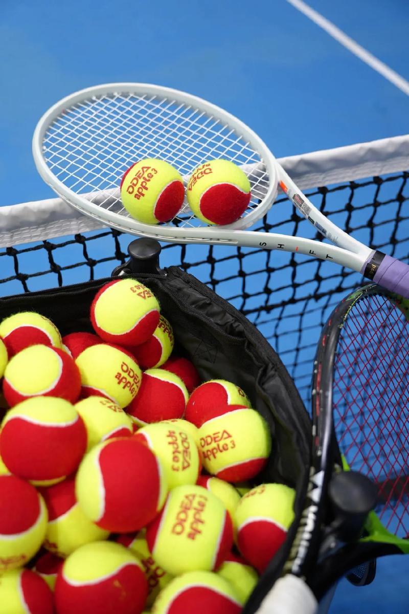 二是联盟顶 二是联盟顶